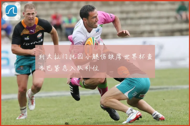 利夫拉门托因小腿伤缺席世界杯查洛巴紧急入队补位